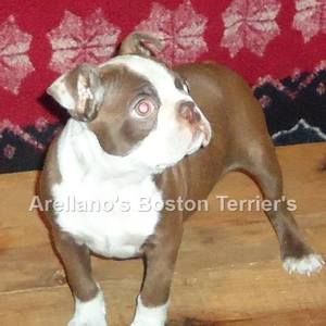 Meet your Posher, Jose